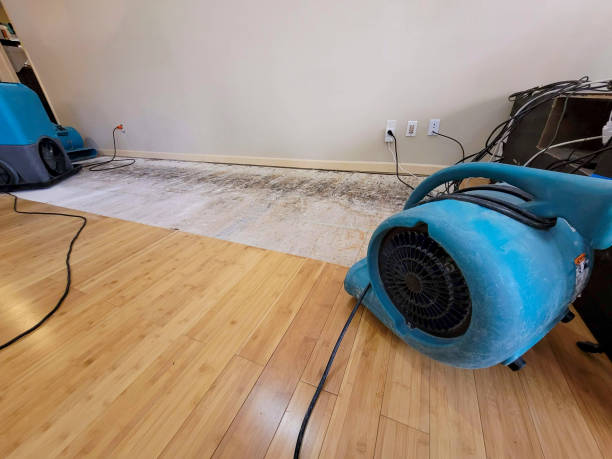 Professional Sewage Cleanup technician working in Howard Beach, NY